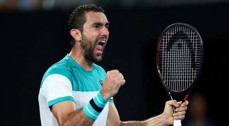 Карен Хачанов - Марин Чилич