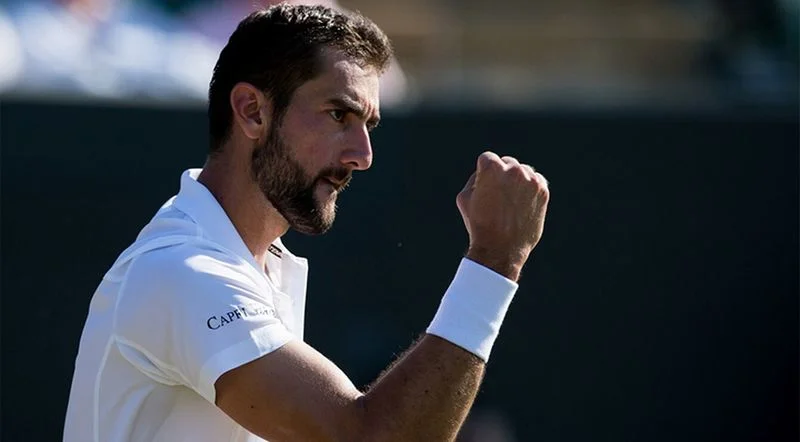 Марин Чилич - Марин Чилич -