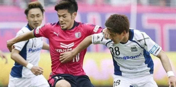 Сересо Осака - Ивата