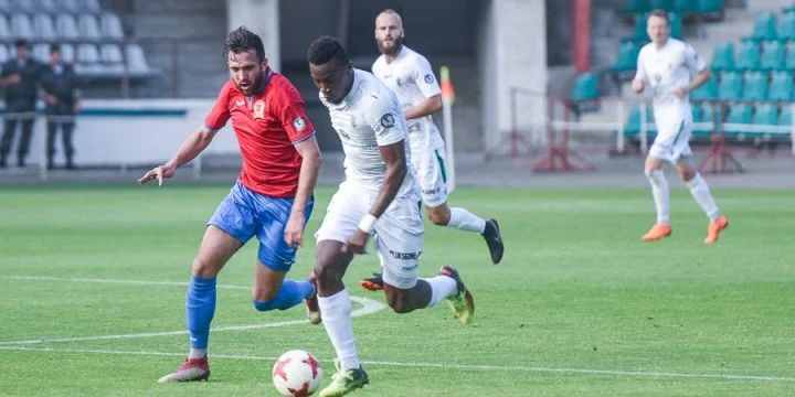 Гомель - Городея