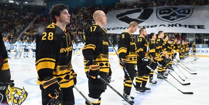 Северсталь - Витязь