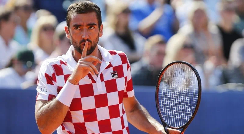 Марин Чилич - Ян-Леннард Штруфф Марин Чилич - Ян-Леннард Штруфф