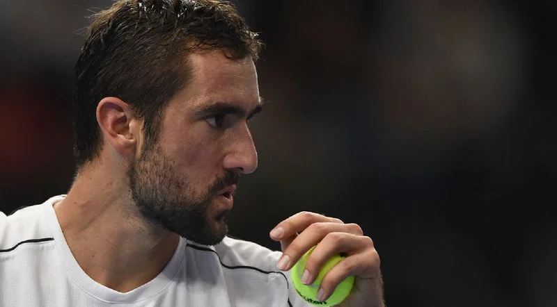 Марин Чилич - Николас Харри Марин Чилич - Николас Харри