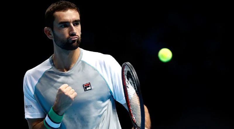 Марин Чилич - Джон Изнер