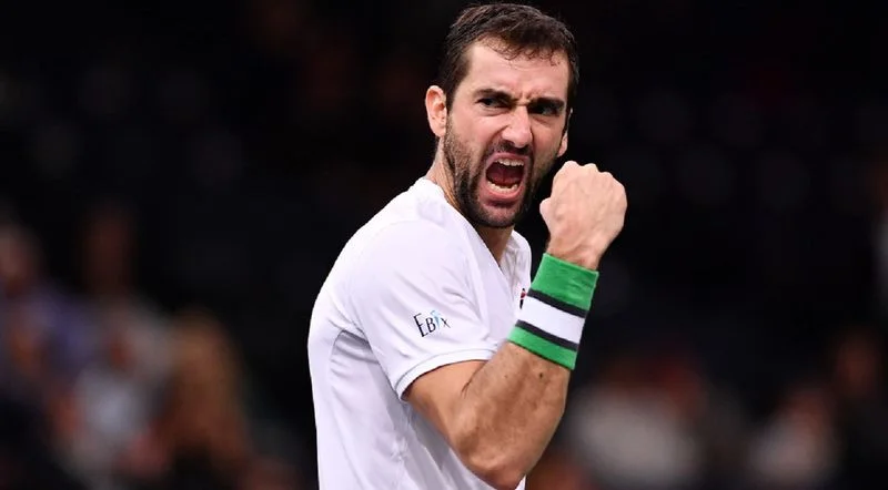 Жо-Вильфрид Цонга - Марин Чилич Жо-Вильфрид Цонга - Марин Чилич