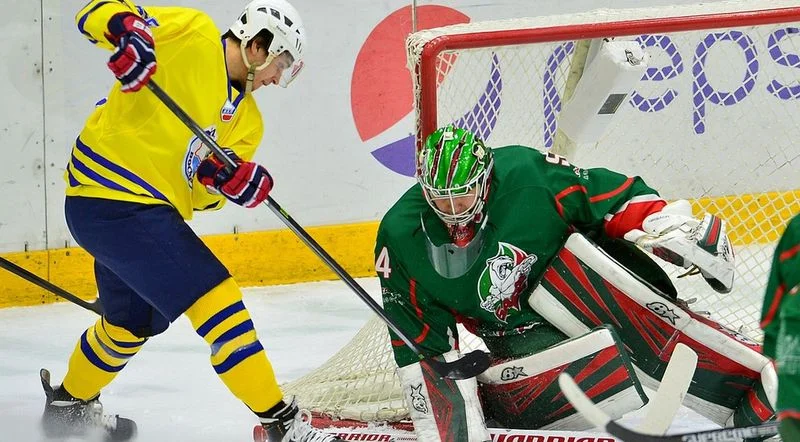 Химик - Барс