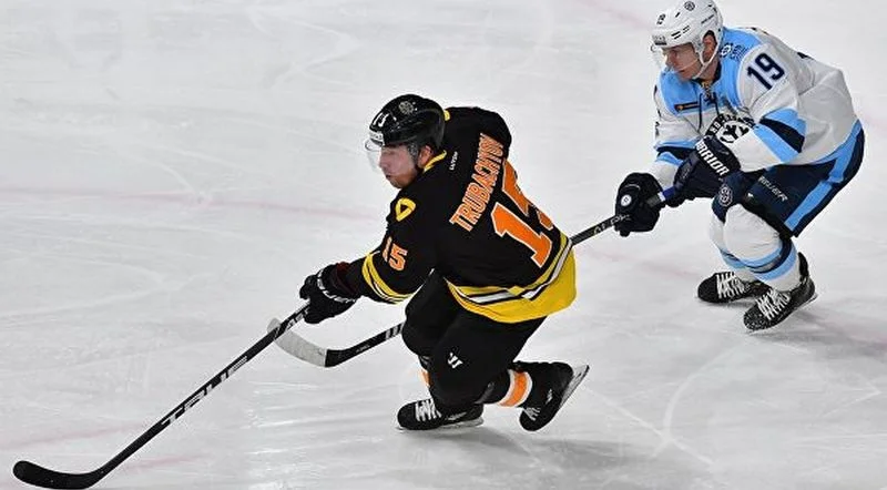 Сибирь - Северсталь