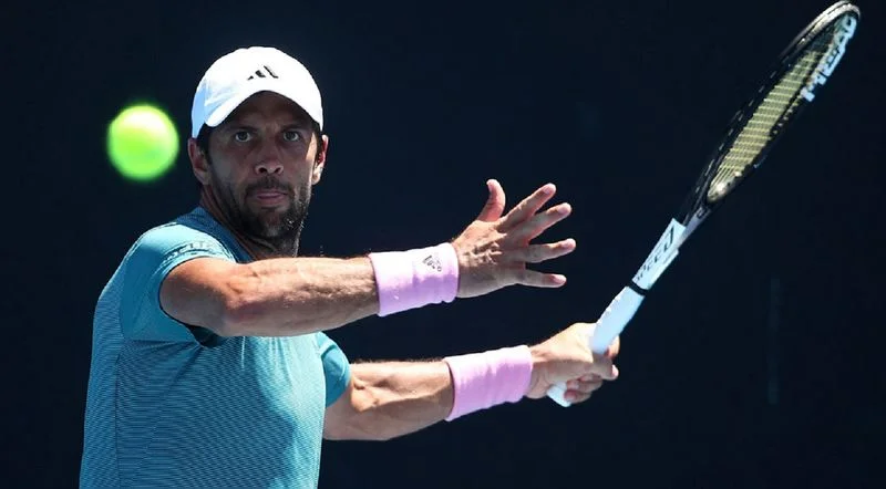 Марин Чилич - Фернандо Вердаско