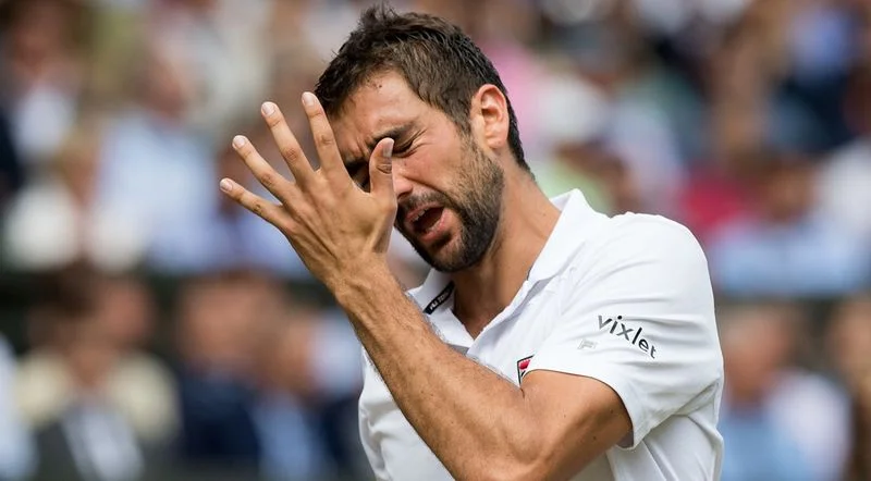 Марин Чилич - Марин Чилич -