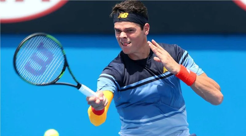 Милош Раонич - Люка Пуйе