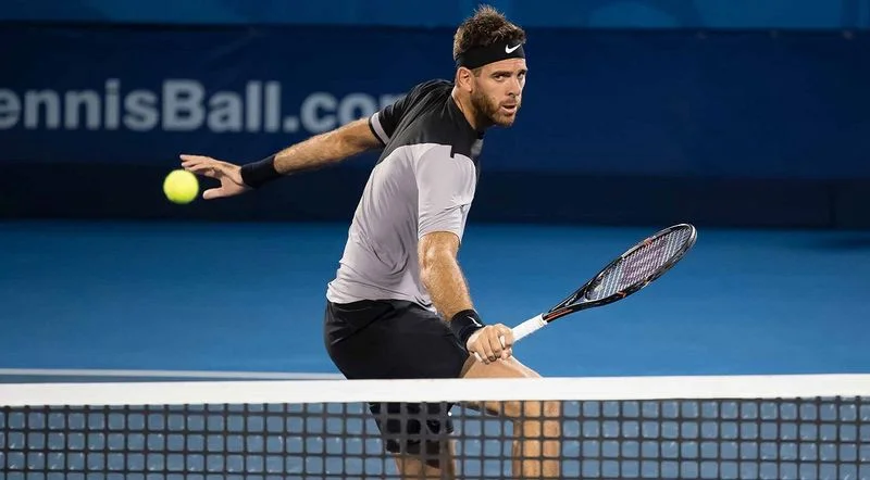 Хуан-Мартин Дель Потро - Йосихито Нисиока