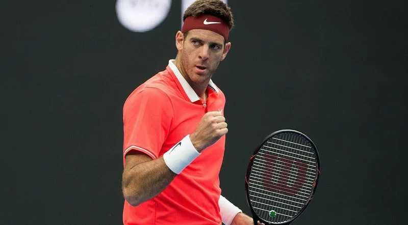 Хуан-Мартин Дель Потро - Маккензи Макдональд Хуан-Мартин Дель Потро - Маккензи Макдональд