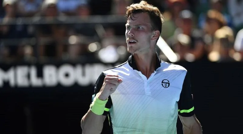 Дамир Джумхур - Мартон Фучович