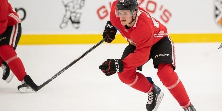 Чикаго - Аризона