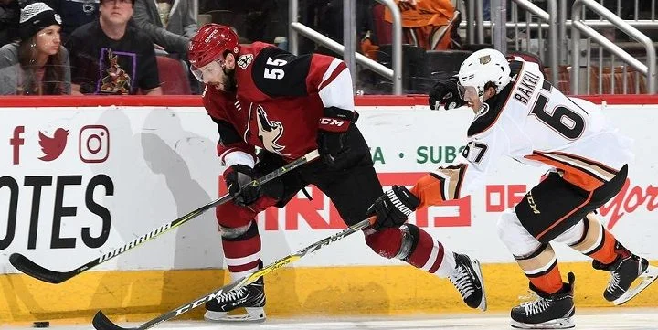 Аризона - Анахайм Аризона - Анахайм