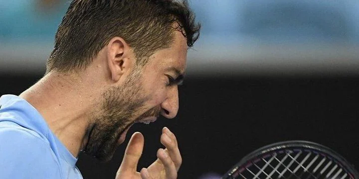 Марин Чилич - Ян-Леннард Штруфф