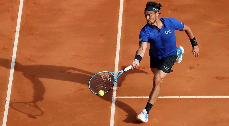 Жо-Вильфрид Цонга - Фабио Фоньини