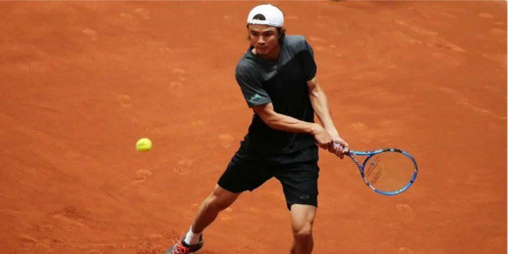 Николас Харри - Таро Даниэль Николас Харри - Таро Даниэль