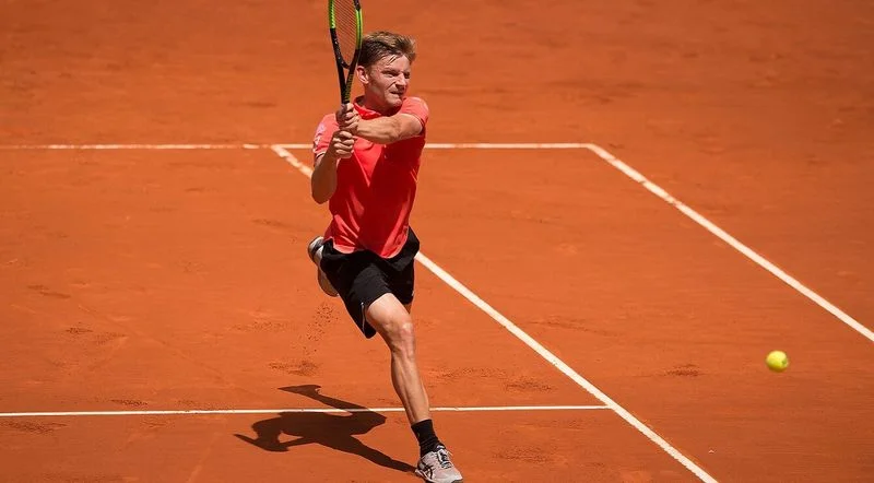 Давид Гоффен - Миомир Кечманович