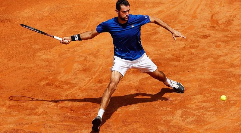 Григор Димитров - Марин Чилич