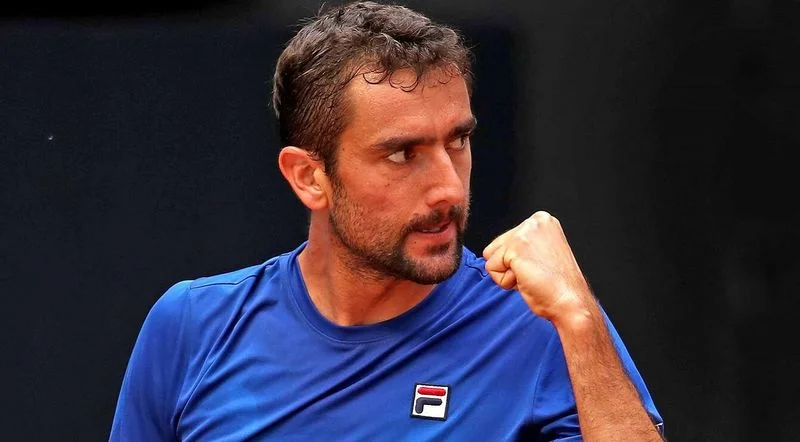 Марин Чилич - Марин Чилич -