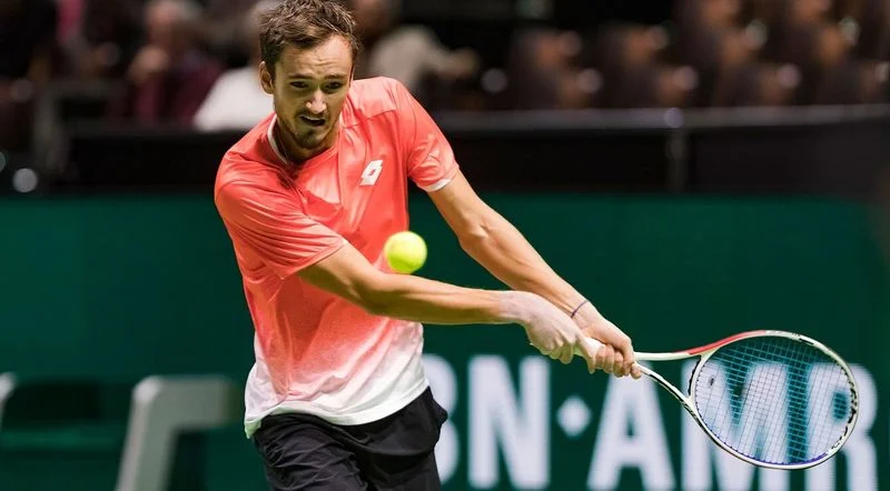 Люка Пуйе - Даниил Медведев