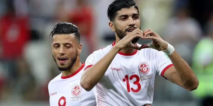Тунис – Мали. Прогноз на матч Кубка Африканских Наций (28.06.2019)