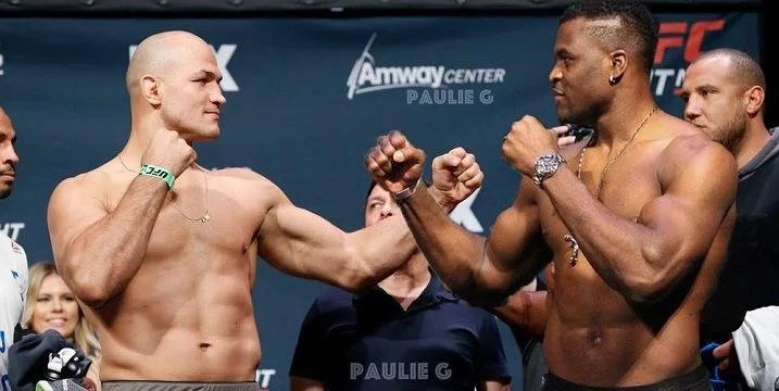 Фрэнсис Нганну - Джуниор дос Сантос