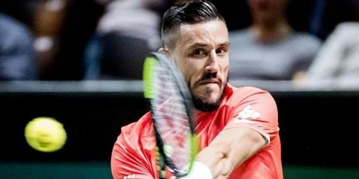 Дамир Джумхур - Роберто Карбальес-Баэна