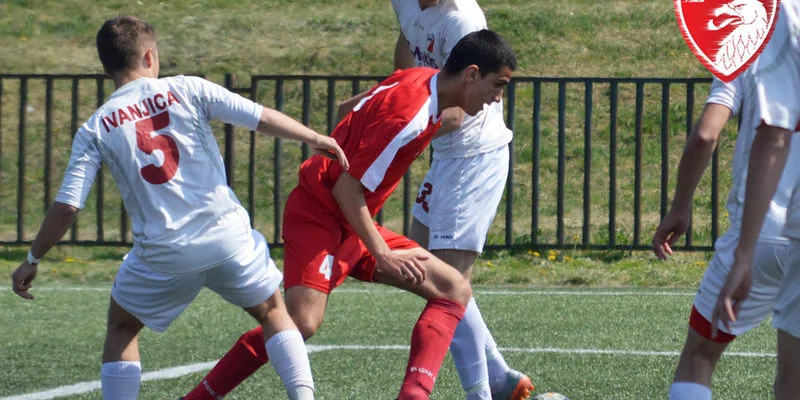 Раднички - Флора