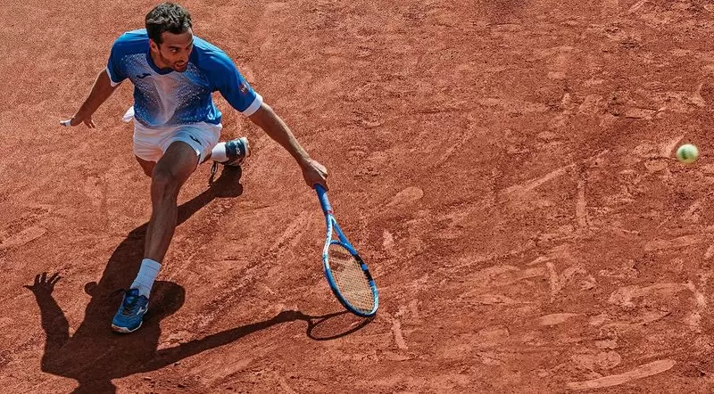 Роберто Карбальес-Баэна - Альберт Рамос. Прогноз на матч ATP Бастад (19.07.2019)