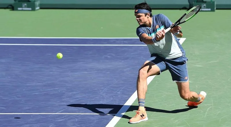 Люка Пуйе - Милош Раонич