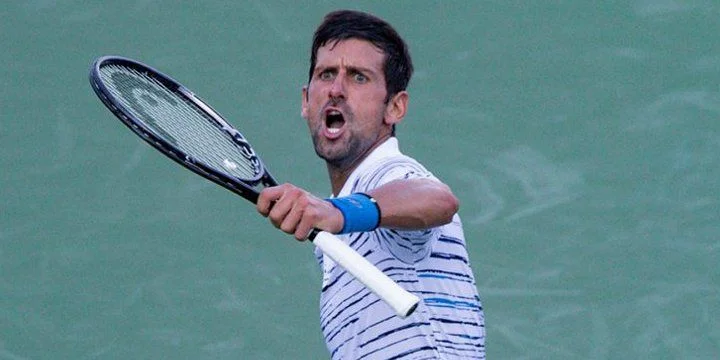 Новак Джокович - Люка Пуйе