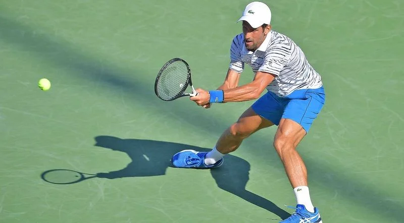 Новак Джокович - Роберто Карбальес-Баэна