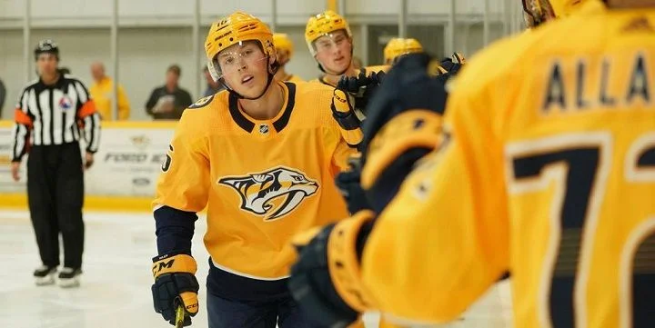 Нэшвилл - Миннесота