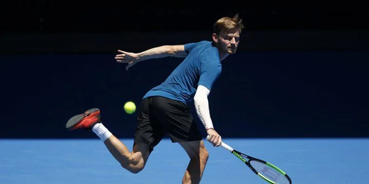 Давид Гоффен - Пабло Каррено-Буста Давид Гоффен - Пабло Каррено-Буста