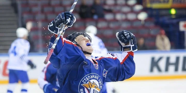 Стальные Лисы - Омские Ястребы