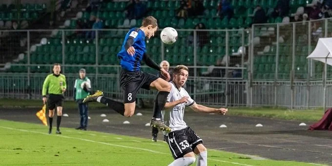 Шинник - Чайка