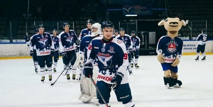 Чайка - Белые Медведи