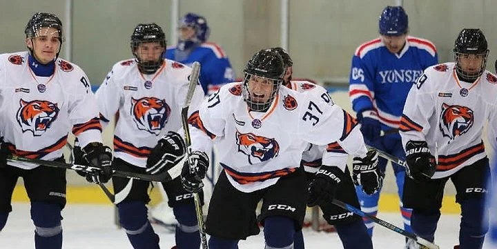 Амурские Тигры - Красная Армия