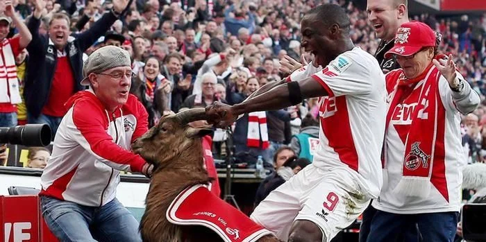 Кельн - Хоффенхайм