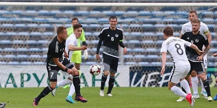 Ирландия - Новая Зеландия Ирландия - Новая Зеландия