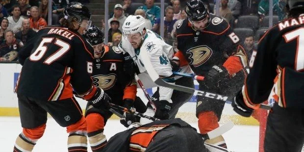 Флорида - Анахайм