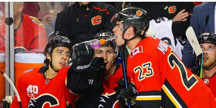 Калгари - Каролина