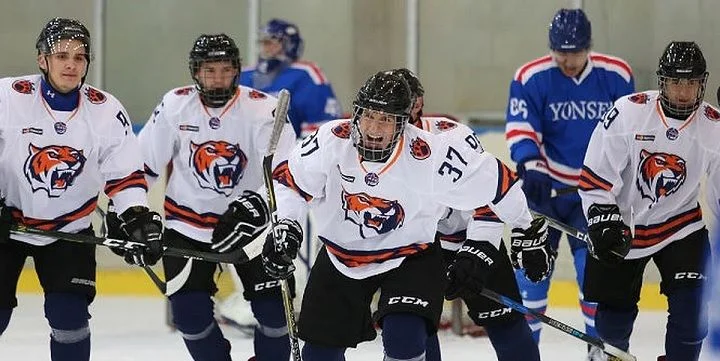 Сахалинские Акулы - Амурские Тигры Сахалинские Акулы - Амурские Тигры