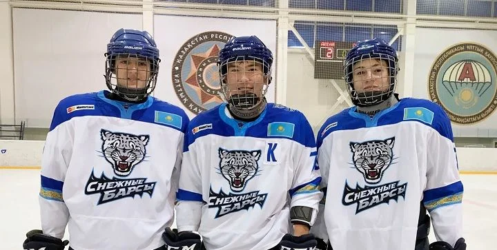 Снежные Барсы - Тюменский Легион