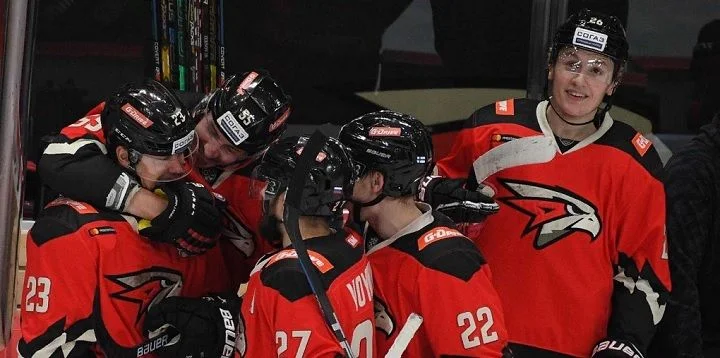 Снежные Барсы - Омские Ястребы