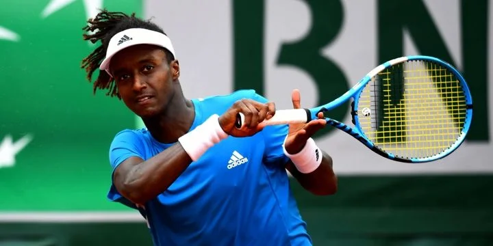 Микаэль Имер - Филип Крайинович Микаэль Имер - Филип Крайинович