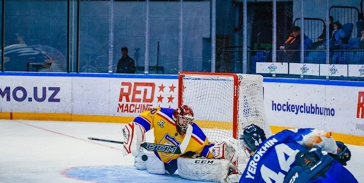 Барс - Химик