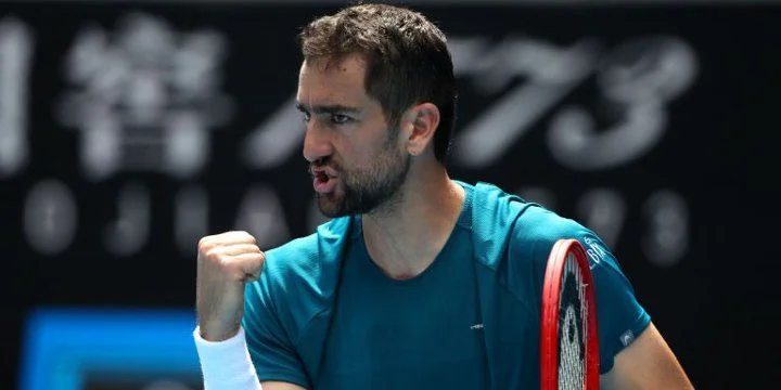 Марин Чилич - Бенуа Пэр